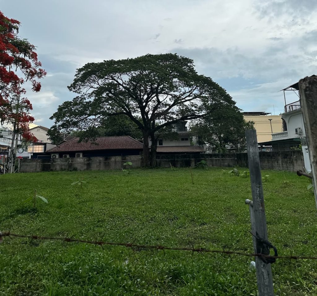 Tayland'da boş bir arsa