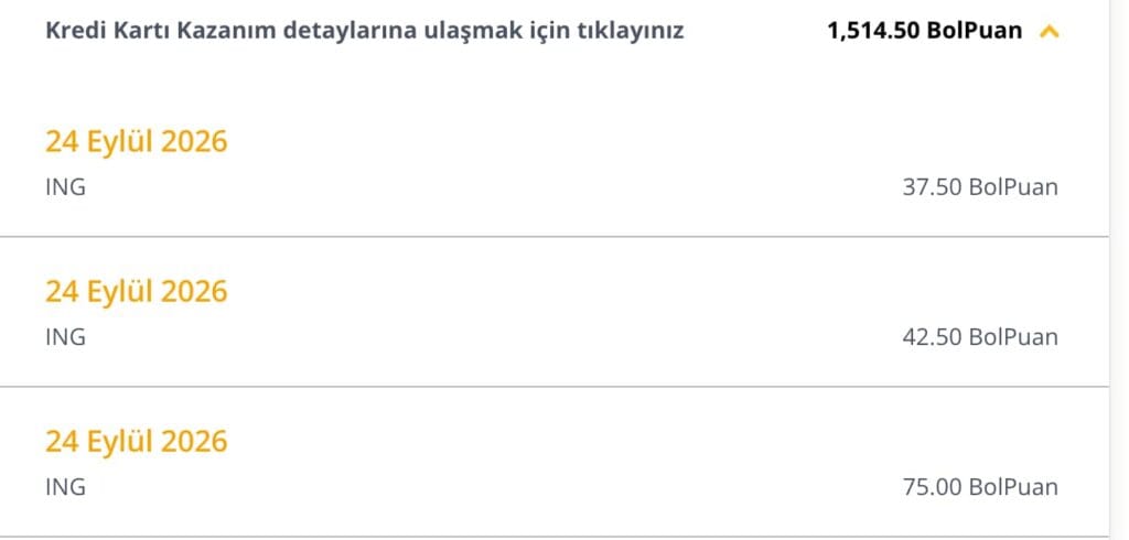 Bol puanların ING harcamalarından tespit edilip sisteme yüklenmesini gösteren ekran.