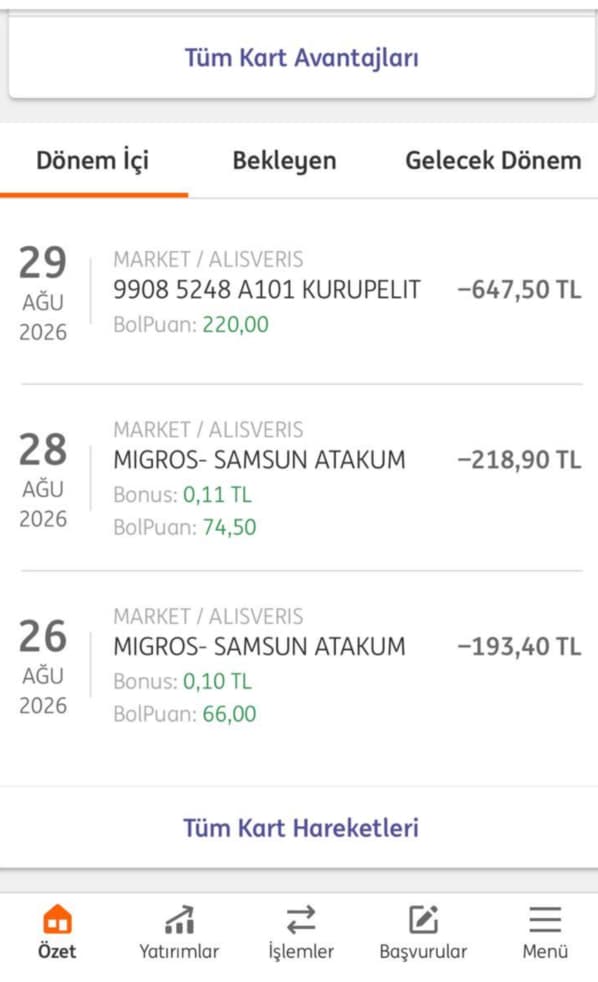 ING bolbol premium kart hesap hareketleri